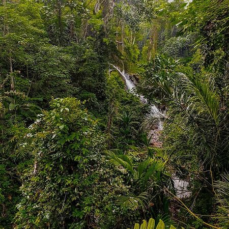 The Sebali Resort Убуд Екстериор снимка A waterfall in the park
