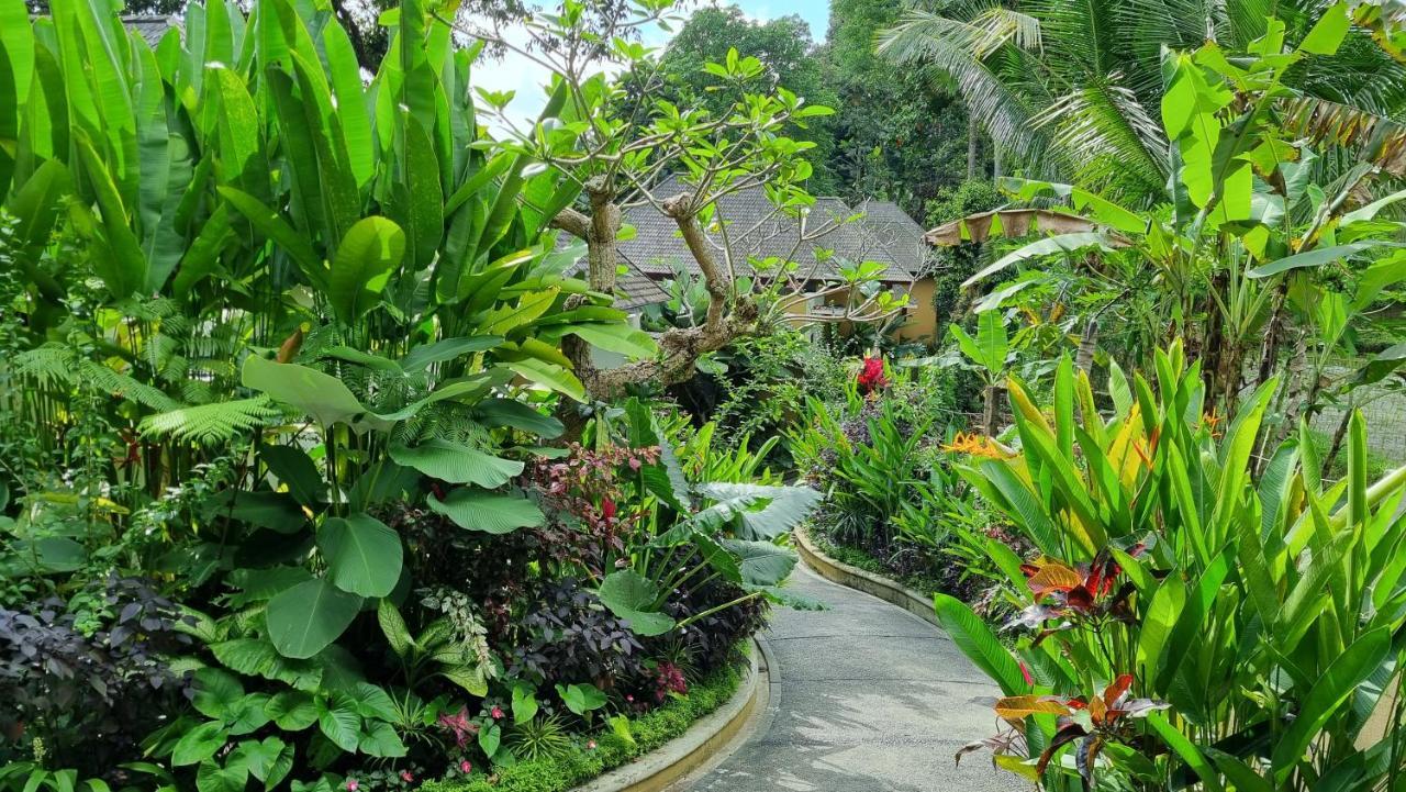 The Sebali Resort Убуд Екстериор снимка A path in the park