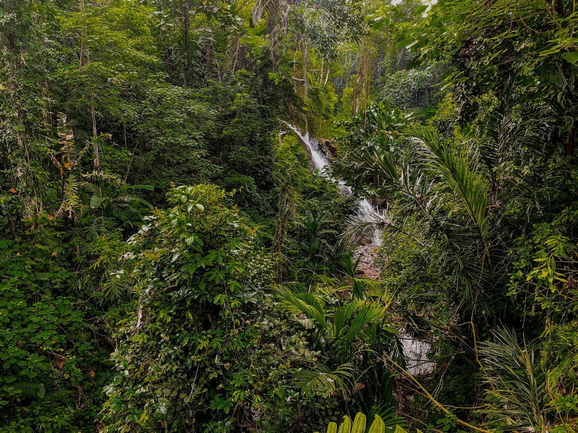 The Sebali Resort Убуд Екстериор снимка A waterfall in the park